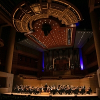Dallas Symphony Orchestra Announces Annual Día De Los Muertos Concert Video