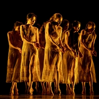 Martha Graham Dance Company Announces February Digital Events Photo