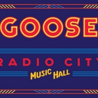 Goose Release New Single 'Borne' Photo