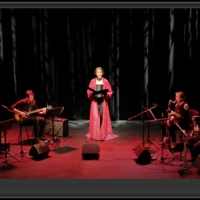 Heresy Records to Release 'CITADEL OF SONG' By Medieval/Jazz Fusion Ensemble Anakrono Photo