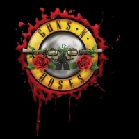 Guns N' Roses Reveal Special Guests for 'Not In This Lifetime Tour' Photo