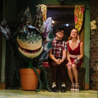 BWW Review: LITTLE SHOP OF HORRORS at Constellation Theatre Company Video