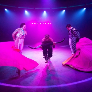 Interview: Tatiana Pandiani of TORERA at Alley Theatre