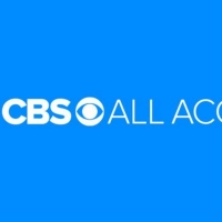 CBS All Access Will Produce New Animated Comedy THE MULTIVORCE Photo