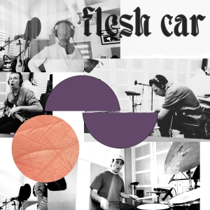 Craig Wedren & FLESH CAR Release New Single 'Up Comes A Bird' Photo