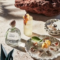 PATRÓN® Tequila Unveils Residencia PATRÓN: A Destination in NYC Celebrating Mexican C Photo