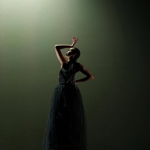 Stefanie Nelson Dancegroup to Present DEA X DEA & Moving Memory: NEXT GENERATION Photo