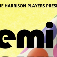 The Harrison Players Present GEMINI Photo