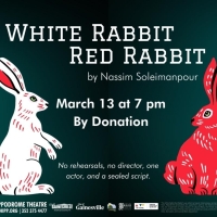 WHITE RABBIT RED RABBIT to be Presented at The Hippodrome Theater in March