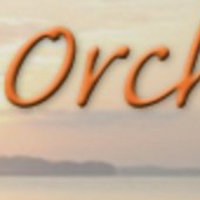 The Orchestra of the Eastern Shore Presents a Fall Concert