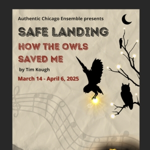 Authentic Chicago Ensemble to Present Inaugural Production, SAFE LANDING: How The Owls Sav Photo