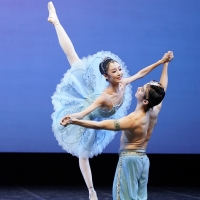 8th SA International Ballet Competition Will Be Performed at the Artscape Opera House Photo