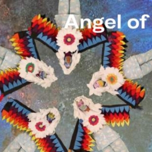 New York Choral Society to Present New Multi-Media Concert ANGEL OF MANY SIGNS Video