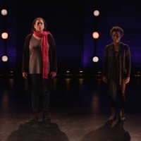 BWW Review: UNTIL THE FLOOD at Studio Theatre Video