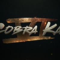 Netflix Renews COBRA KAI For Sixth & Final Season