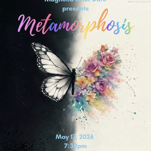 METAMORPHOSIS Fundraising Cabaret Will Come to Bee Cave Photo