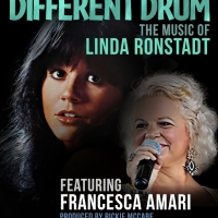 DIFFERENT DRUM: THE MUSIC OF LINDA RONSTADT at Palm Canyon Theatre Photo