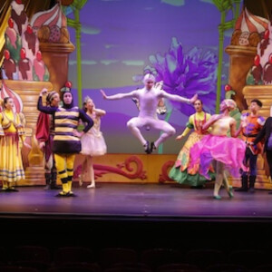 Mark Foehringer's NUTCRACKER SWEETS to Return for 18th Season Photo