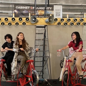 Cabinet of Curiosity to Present PEDAL POWERED PLAYGROUND Beginning in May Photo