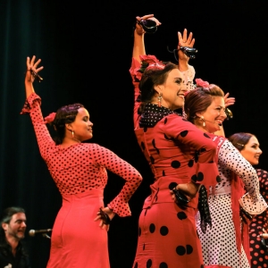 Hostos Center For The Arts And Culture to Present A Palo Seco Flamenco Company Video
