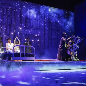 Review: LIFE OF PI at Des Moines Performing Arts Photo