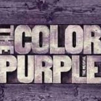 BWW Review: PLAZA THEATRICALS production of The Long Island Premiere Of THE COLOR PUR Photo