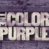 BWW Review: PLAZA THEATRICALS production of The Long Island Premiere Of THE COLOR…