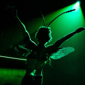 Review: INVASIVE SPECIES, King's Head Theatre