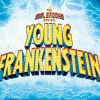 Online YOUNG FRANKENSTEIN Launches This Weekend Photo