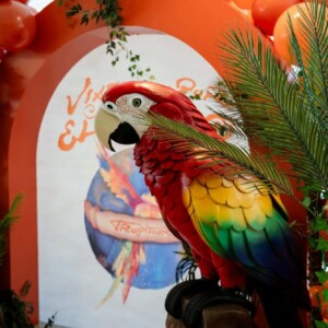 TEXAS TROPICS Pop-Up Gallery Opens at The Aiden Photo