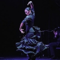 Frankin Stage Company to Present Flamenco Vivo Carlota Santana at Chapel Hall This Mo Photo