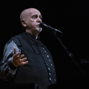 Review: PETER GABRIEL I/O TOUR at Nationwide Area Photo