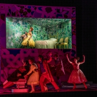 BWW Feature: NEDERLANDSE REISOPERA (DUTCH NATIONAL TOURING OPERA) BRINGS ITS SUCCESSF Video