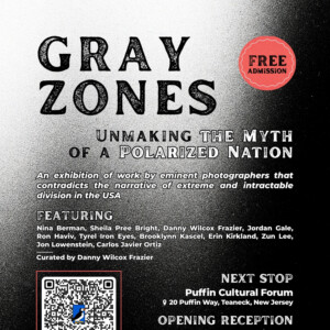 GRAY ZONES to Open at Puffin Cultural Forum Photo