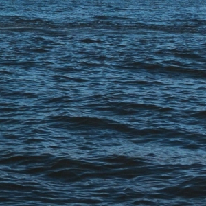 South Street Seaport Museum to Present City Of Water Day Photo