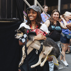 Video: Cue the Puppies! Behind the Scenes at Broadway Barks 2026