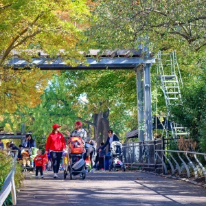 PHILADELPHIA ZOO'S HALLOWEEN EXTRAVAGANZA-'BOO AT THE ZOO' This Weekend