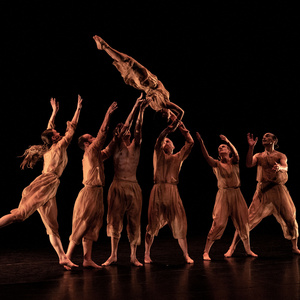 Co3 Contemporary Dance and NZ Dance Company to Stage GLORIA - A TRIPLE BILL Photo