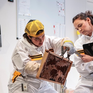 Review: THE APIARY at Urbanite Theatre Photo