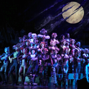 Feature: So...What is CATS Even About? A Character Guide to CATS THE MUSICAL Photo