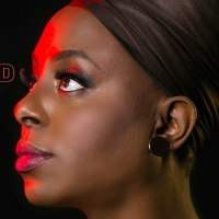 BWW Interview: Ledisi Channels & Honors Nina Simone in LEDISI: THE LEGEND OF LITTLE G Photo