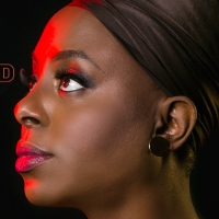BWW Interview: Ledisi Channels & Honors Nina Simone in LEDISI: THE LEGEND OF LITTLE…