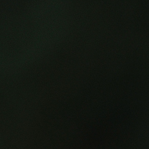 Barrymore Film Center and Teaneck International Film Festival Partner for NJ Premiere of S Photo