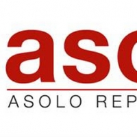 Asolo Repertory Theatre is the Recipient of $70,000 Arts Appreciation Grant from Gulf Video