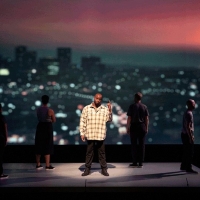 Review Roundup: Anna Deavere Smith's TWILIGHT: LOS ANGELES, 1992 Photo