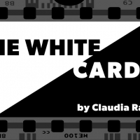 Cross-Stitch Theater Company Presents Pittsburgh Premiere Of THE WHITE CARD Photo