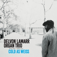Delvon Lamarr Organ Trio Announce New Album 'Cold As Weiss' Photo