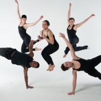 SYREN Modern Dance Announces 20th Anniversary Season, Celebrating With 20 Engagements Photo