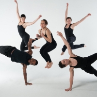 SYREN Modern Dance Announces 20th Anniversary Season, Celebrating With 20 Engagements Video