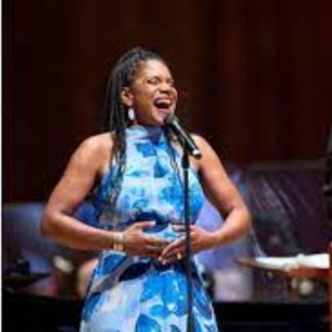 Review: AN EVENING WITH AUDRA MCDONALD at BLOSSOM Music Center Photo